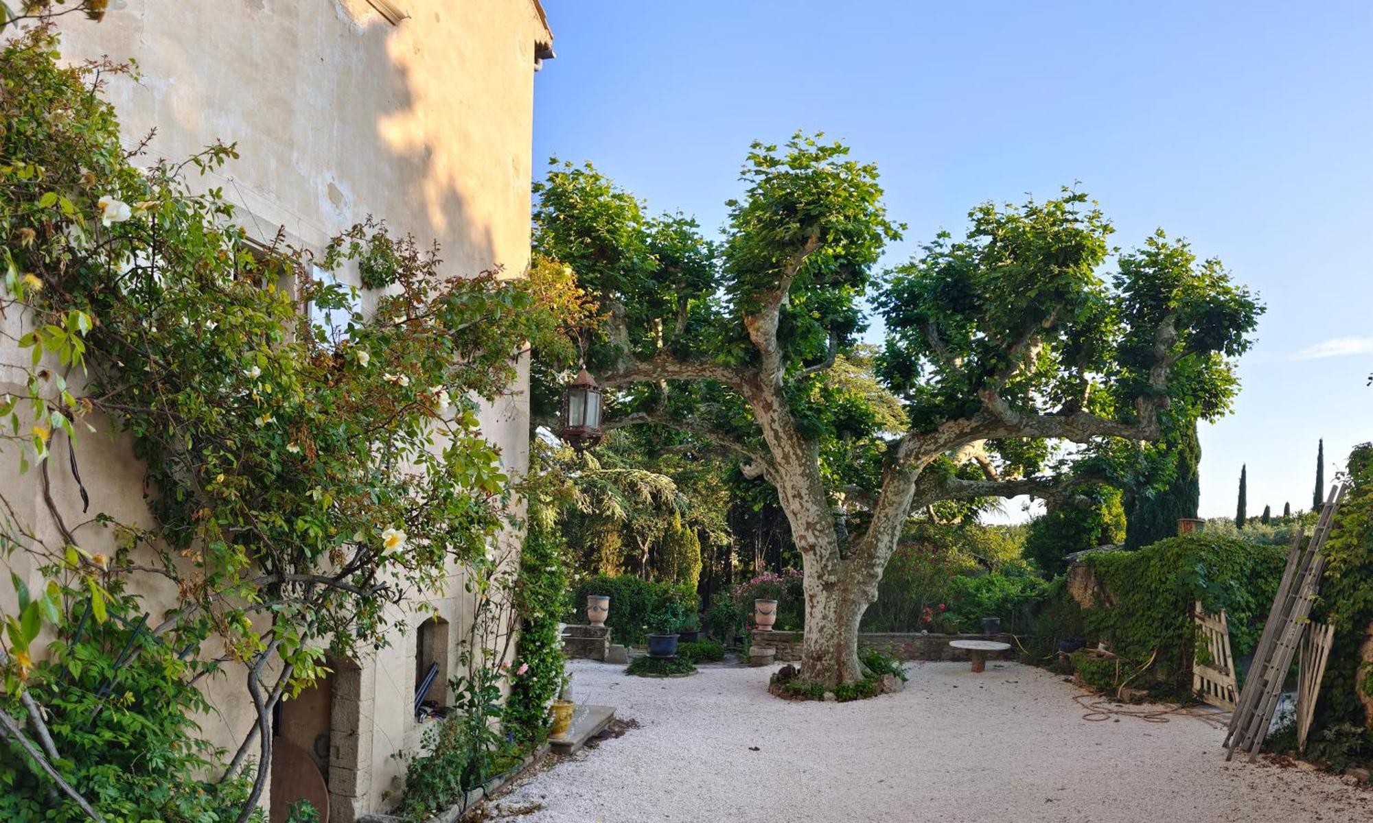 Rue Du Chateau A Cabrieres D'Avignon Bed & Breakfast Exterior photo